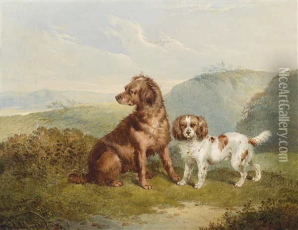 Zwei Hunde In Weiter Landschaft Oil Painting - Charles Jones