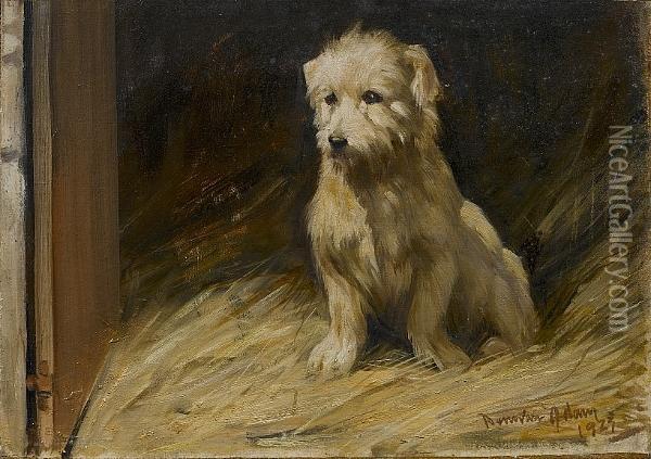 Study Of A White Terrier Oil Painting - Joseph Denovan, Adam Jnr.