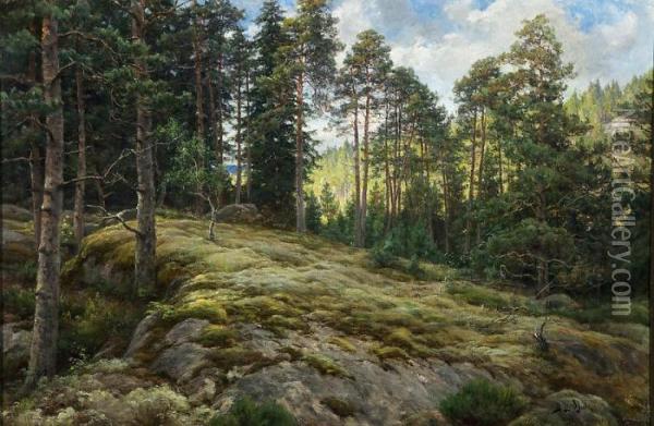 Kalliorinne Mantymetsassa Oil Painting - Berndt Adolf Lindholm