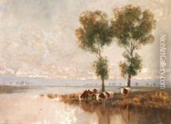 Alkonyi Fenyek Oil Painting - Ferenc Olgyay