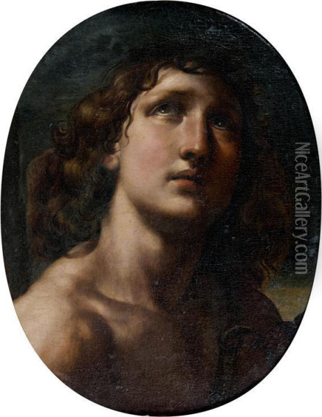 David Oil Painting - Domenico Maria Canuti