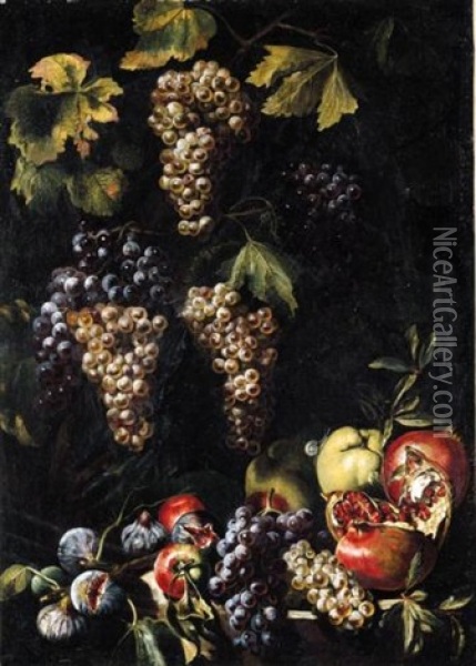 Still Life With Bunches Of Grapes On A Vine, An Open Pomegranate, Apples And Figs Oil Painting - Michelangelo Cerquozzi