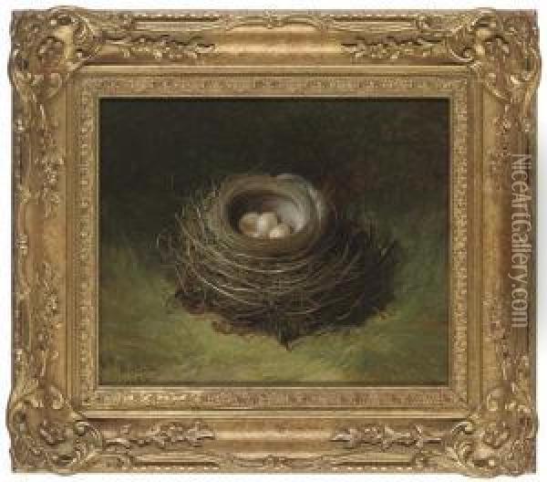A Nest Of Eggs Oil Painting - Abel Hold