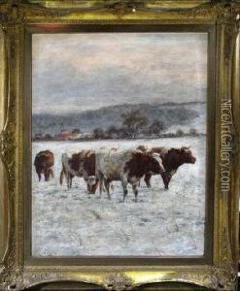 Cattle In The Snow Oil Painting - Joseph Dixon Clark