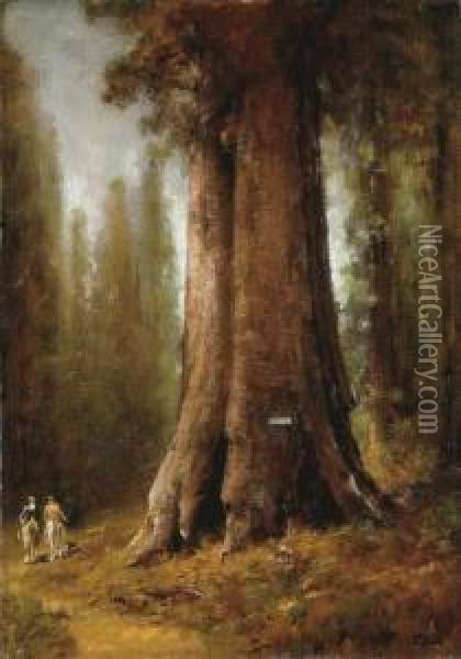 California Redwood Trees Oil Painting - Thomas Hill