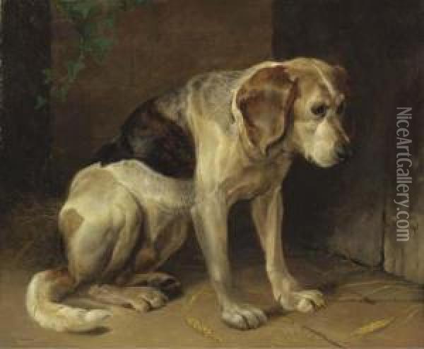 A Hound Oil Painting - Henry Weekes