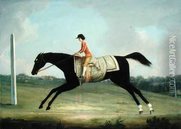 Borlase Cokayne as a Boy riding Sultana, 1751 Oil Painting - Thomas Smith of Derby