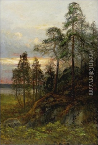 Ilta Sateen Jalkeen Oil Painting - Johan Severin Nilsson