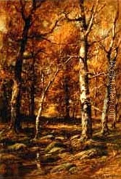 Forest Scene Oil Painting - Charles Linford