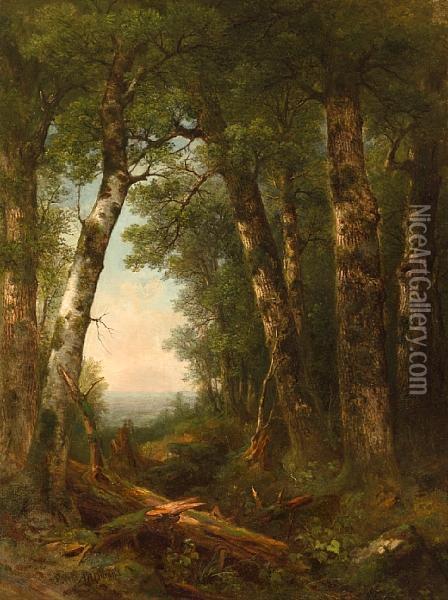 View Through The Woods Oil Painting - Asher Brown Durand