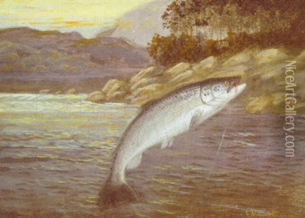A Salmon Leap Oil Painting - A. Roland Knight