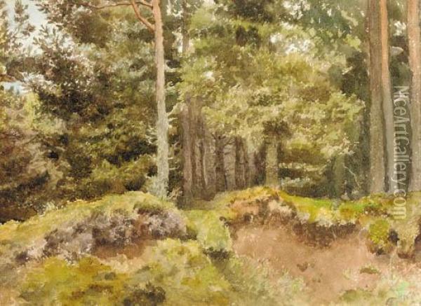 An Essex Wood Oil Painting - Archibald Thorburn