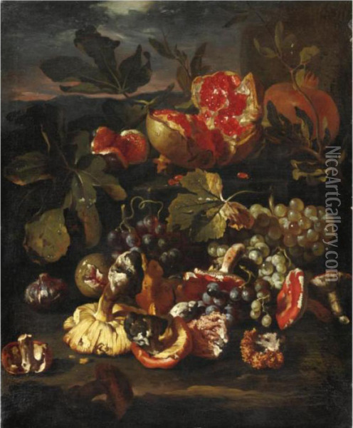 Natura Morta Di Frutta Con Melagrane, Uva, Funghi E Fichi Oil Painting - Giovanni Paolo Castelli Spadino