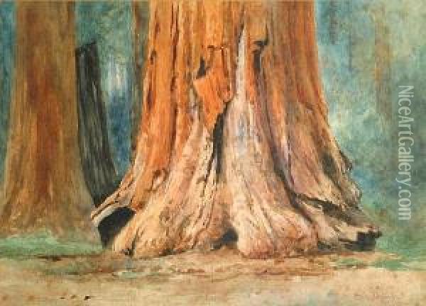 Redwoods Oil Painting - Christian A. Jorgensen