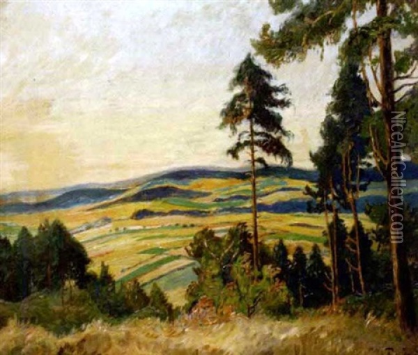 Waldlichtung Mit Blick Auf Hugelige Landschaft Oil Painting - Walter Friederici