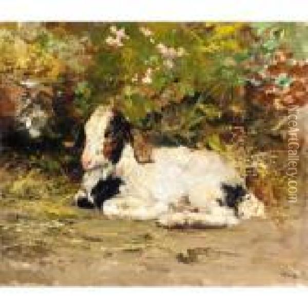 Young Goat Oil Painting - Vincenzo Irolli