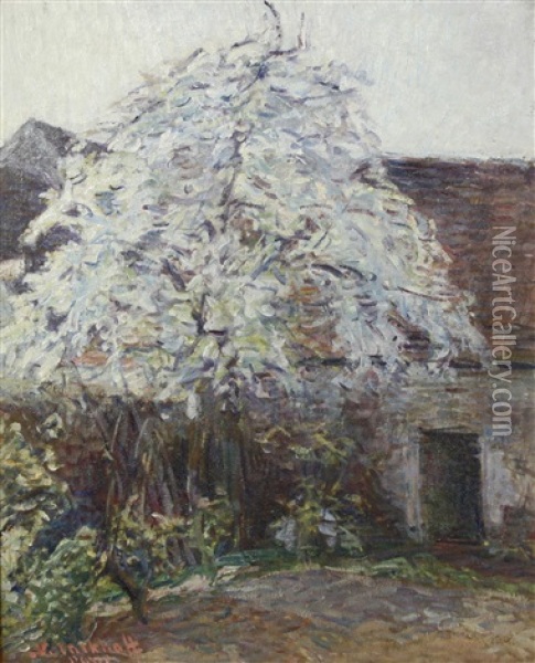 Courtyard In The Early Spring Oil Painting - Nikolai Aleksandrovich Tarkhov