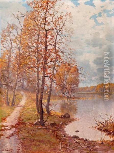 Shore View In Autumn Oil Painting - Eugen Taube