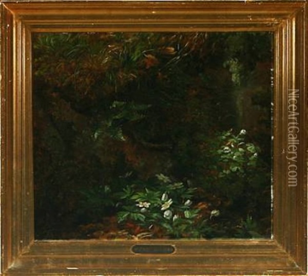 A Forest Floor With Anemones Oil Painting - Anthonie Eleonore (Anthonore) Christensen
