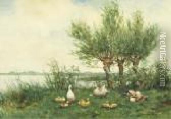 Ducks With Ducklings On A Riverbank Oil Painting - David Adolf Constant Artz