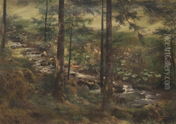 Le Ruisseau Dans La Clairiere Oil Painting - Anton Heinrich Dieffenbach