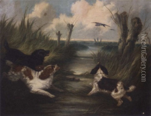 Spaniels Putting Mallards Up Oil Painting - Edward Armfield