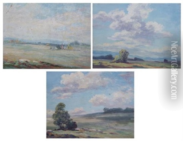 In The Virginia Countryside (3 Works) Oil Painting - August H.O. Rolle