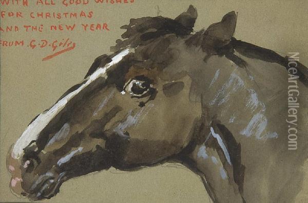 Head Of A Brown Horse With White Stripe Oil Painting - G.D. Giles