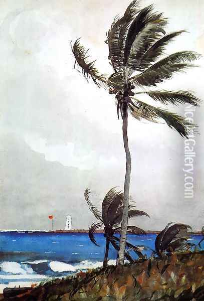 Palm Tree, Nassau Oil Painting - Winslow Homer