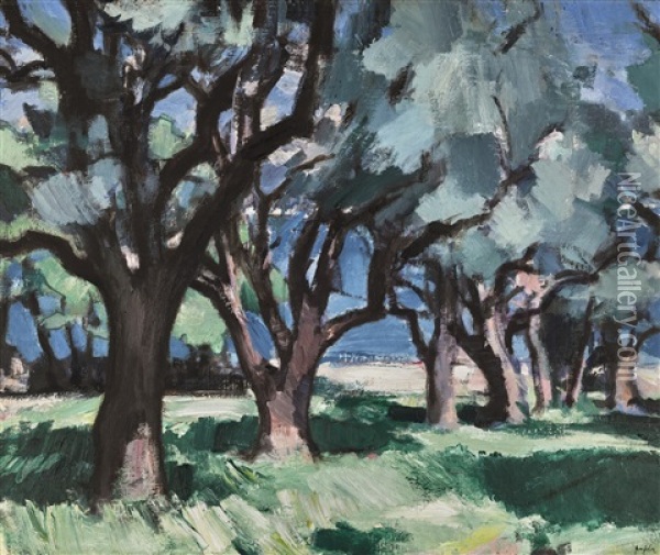 Trees, Antibes Oil Painting - Samuel John Peploe