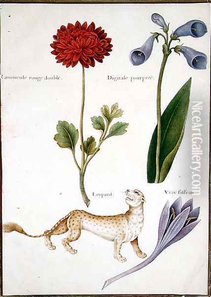 Ranunculus, Foxglove, Meadow Saffron and a Leopard Oil Painting - Nicolas Robert