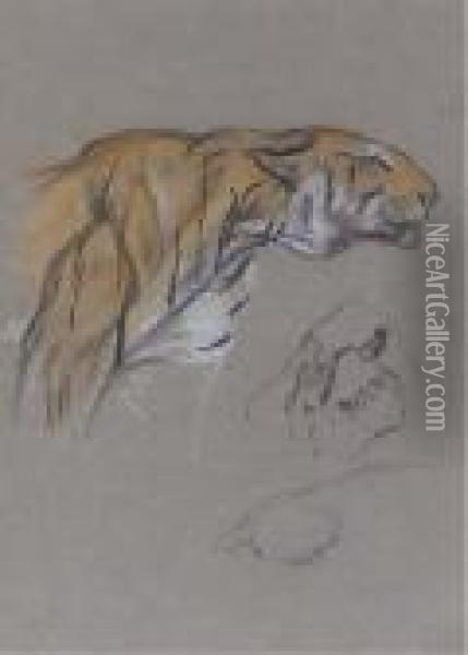 Study Of A Stalking Tiger Oil Painting - Arthur Wardle