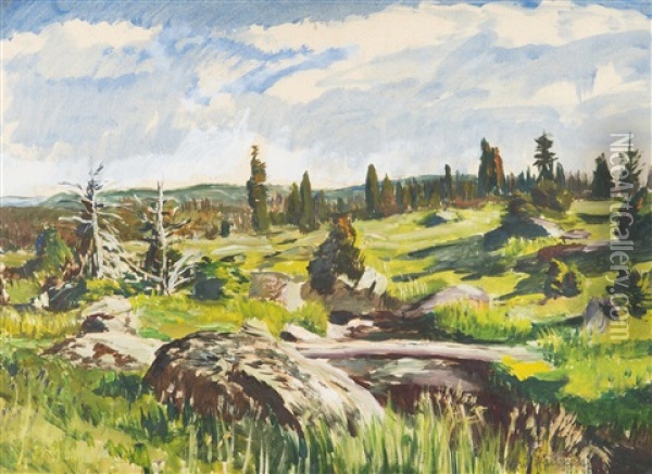 A Brook In The Mountains Oil Painting - Antonin Hudecek