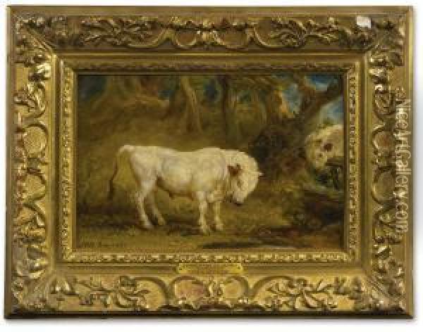 A Confrontation Between Two Chillingham Wild White Bulls Oil Painting - James Ward