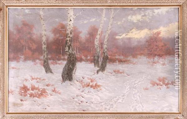 Brzozy W Zimowym Lesie Oil Painting - Jan Grubinski