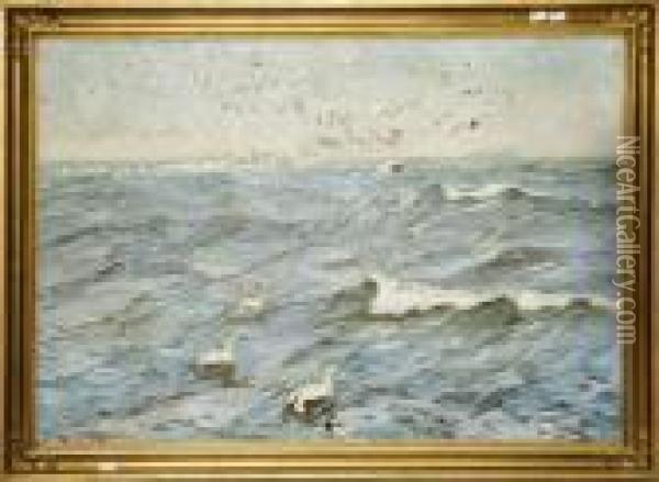 Sjofagel I Utskargarden Oil Painting - William Gislander