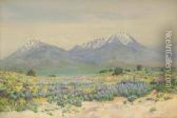 Spanish Peaks At Midday Oil Painting - George Elbert Burr