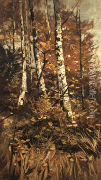 Herbstlicher Birkenwald Oil Painting - Karl Hagemeister