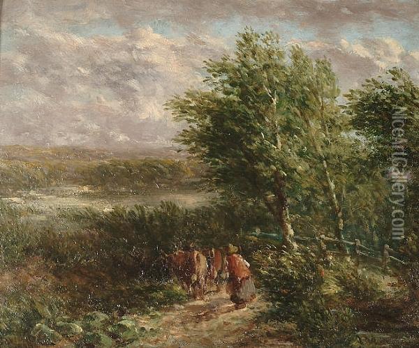 Landscape With Cattle And A Drover On A Path Oil Painting - David I Cox