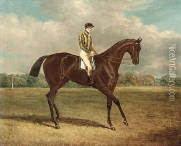 Bay Middleton, With James Robinson Up Oil Painting - John Frederick Herring Snr