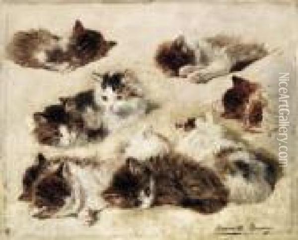 Study Of Kittens Oil Painting - Henriette Ronner-Knip