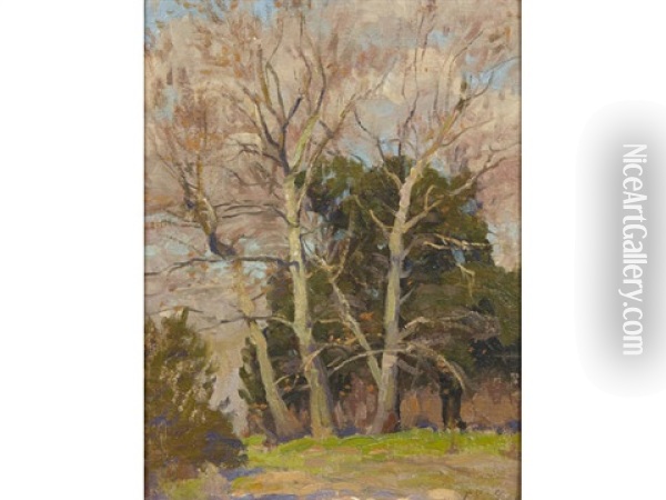 Landscape With Trees Oil Painting - Ferdinand Kaufmann