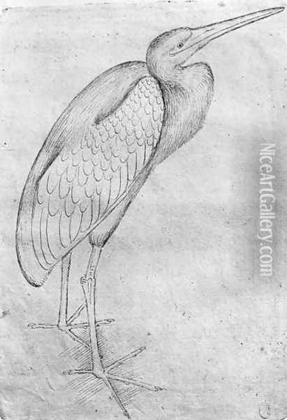 Pelican, from the The Vallardi Album Oil Painting - Antonio Pisano (Pisanello)