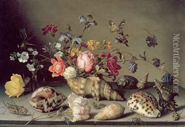Still Life with Flowers, Shells and Insects Oil Painting - Balthasar Van Der Ast