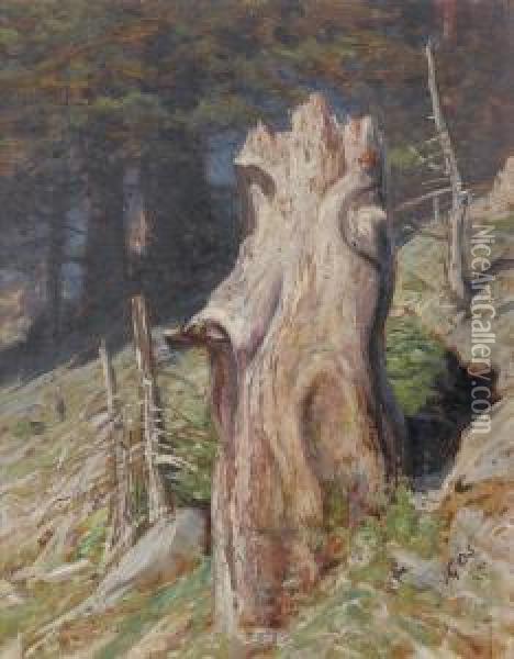 Waldlichtung Mit Baumstrunk Oil Painting - Albert H. Gos