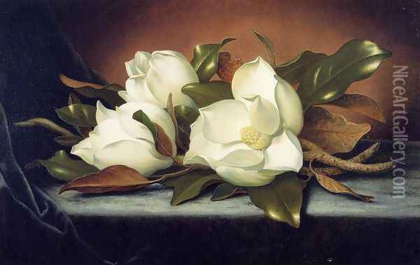 Giant Magnolias Oil Painting - Martin Johnson Heade