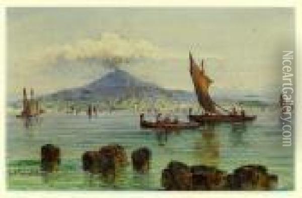 Belebte Bucht Von Neapel Mit Rauchendem Vesuv Oil Painting - Gabriele Carelli