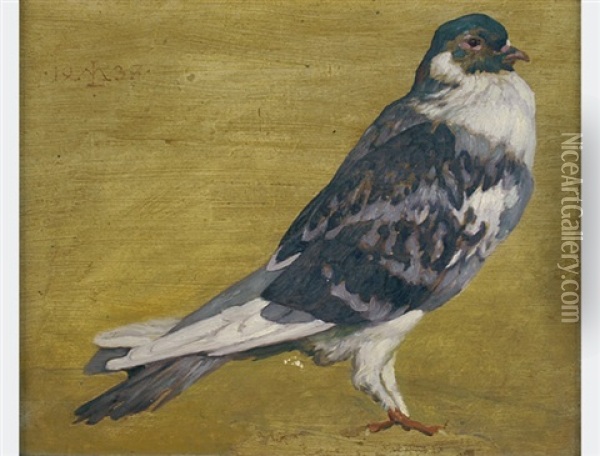 Pigeon Oil Painting - Maximilian Lenz