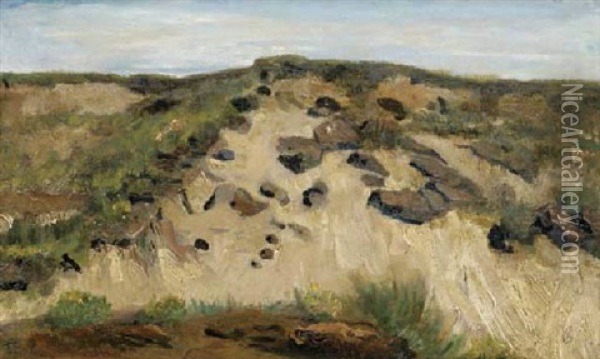 Het Duin (the Dune) Oil Painting - Vincent Van Gogh