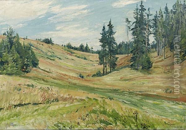 Im Schwarzwald Bei Villingen Oil Painting - Fritz Wucherer
